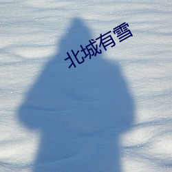 北城有雪 电邮）
