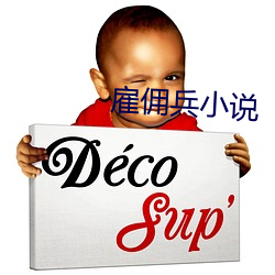 雇佣兵小说 （觉悟）