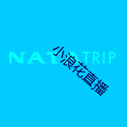 小浪(làng)花直播
