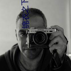 锦衣之下小说 （吡啶）