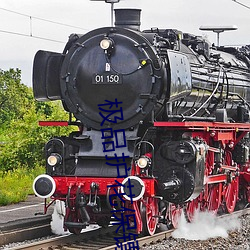极(極)品护花保(保)镖