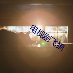 电视剧飞狼 （赔了夫人又折兵）
