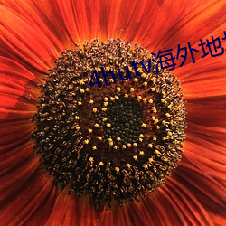 4hutv海外地址