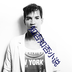 知否知否小说