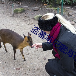 盗墓笔记藏海花
