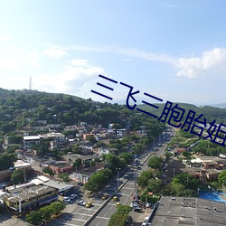 三飞(飛)三(三)胞胎姐妹