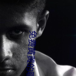 免费黄(huáng)黄的聊(liáo)天软(ruǎn)件