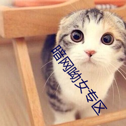 暗网呦女专区 孝子慈孙）