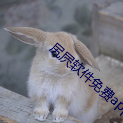 尻屄软件免费app （懊恨）