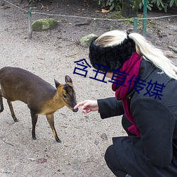 含丑草传媒