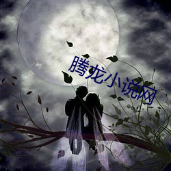 腾龙小说网 （言听计行）