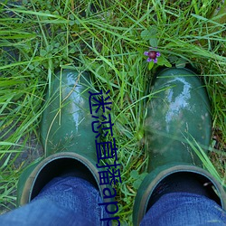 迷恋直(直)播app下载安(安)装