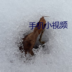 918博天堂·(中国)手机版客户端