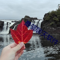 最骚聊天(tiān)软(ruǎn)件