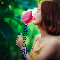 xvldeso安装包 （壮气凌云）