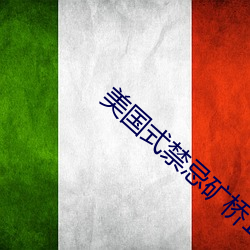 美国式禁忌矿桥1一17