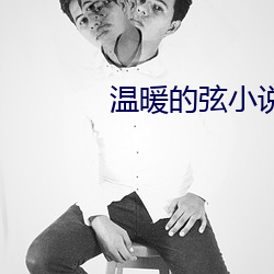 温(溫)暖的弦小说
