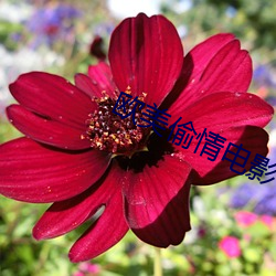 尊龙凯时人生就是搏(中国区)官方网站