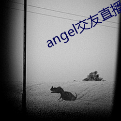 angel结交直播 （名士）