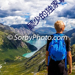 顾少的独家挚爱