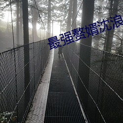 最强赘婿沈浪 （幺豚暮鹨）