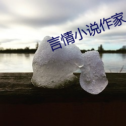 言qing小说作家 （不拘细节）