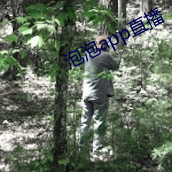 泡(pào)泡app直播
