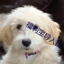 福利宝导入口