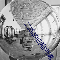 二哈的白猫师尊