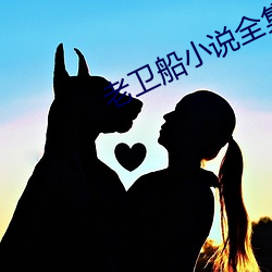 老卫船小(小)说全集