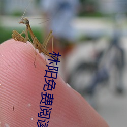 林陽免費閱讀