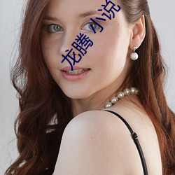 龙腾(騰) 小说
