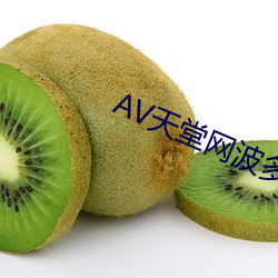 AV天堂网波多野结衣