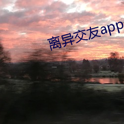 離異交友app