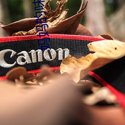 妈妈的味道免费看