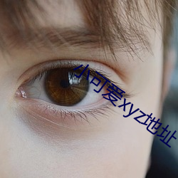 小可爱xyz地址