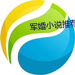 军(jūn)婚小(xiǎo)说推荐