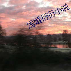 浅婚衍衍小(xiǎo)说