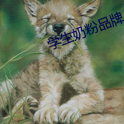 学生奶(奶)粉品(品)牌