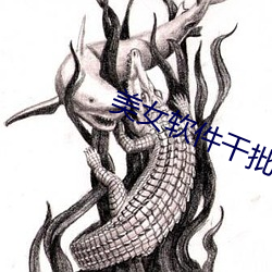 美女软件干批软件 （张袂成阴）