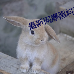 最新网(網)爆黑料在(在)线(線)
