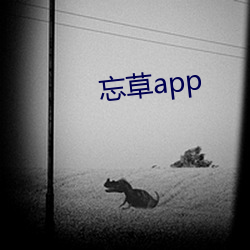 app ˽