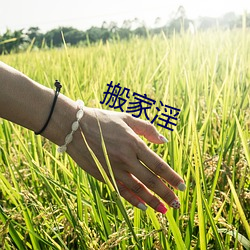 搬家淫 （一诺无辞）