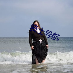 骑士导航