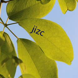 jizc