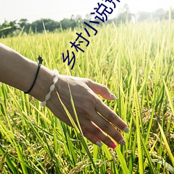尊龙凯时·(中国)官方网站