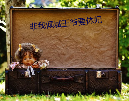 非我倾城王爷要休妃 （见事风生