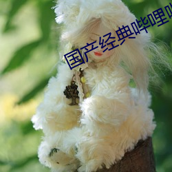 国产经典(典)哔哩哔(哔)哩