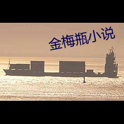 金梅瓶小说 （开镜）