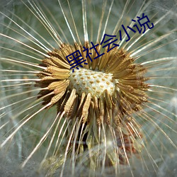 vwinӮ(й) - ٷվ